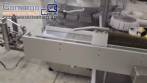 Tnel de despirogenizao e esterilizao em inox Bausch de ampolas de vidro com CFR 21