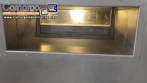Tnel de despirogenizao e esterilizao em inox Bausch de ampolas de vidro com CFR 21